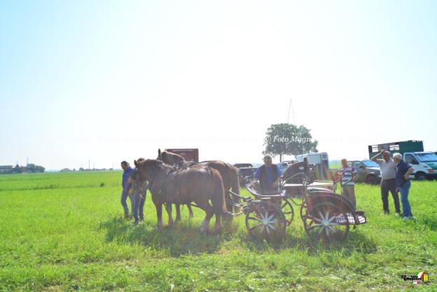 DSC_7154.JPG
